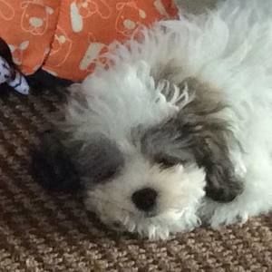 Meet your Posher, Kelly